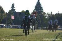 /album/a/vystrizek14-png/