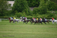 /album/a/436153330-7435761293144707-8046107537396619302-n-jpg1/