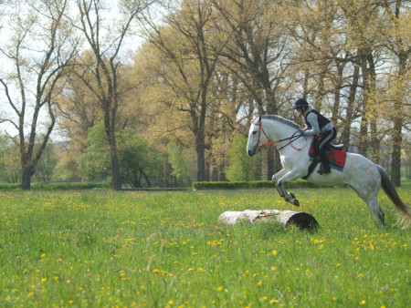 Jitřenka (CZE)